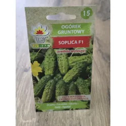 Ogórek gruntowy Soplica F1 Ogórek gruntowy Soplica F1